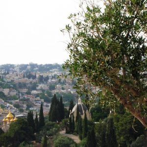 Importante exposición fotográfica del Santo Sepulcro y Tierra Santa en Chipiona