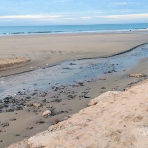 La Comunidad de Regantes de la Costa Noroeste de Cádiz dará servicio al campo de Chipiona