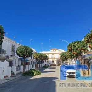 Comienza la poda de naranjos en las vía y espacios públicos de Chipiona