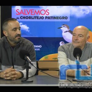 CANS pide colaboración ciudadana para una nueva campaña de protección del chorlitejo patinegro