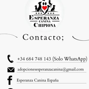 La protectora de animales Esperanza Canina vacuna a todos sus perros gracias a una aportación realizada por la asociación La Percha Verde