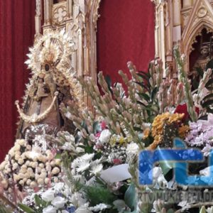 61 colectivos y empresas inscritos para participar mañana sábado en la ofrenda floral a la Virgen de Regla