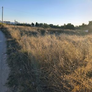 Urbanización “Los Quemados “de Chipiona un proyecto en vías de ejecución municipal